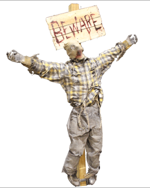 CHR601- Reaching Scarecrow