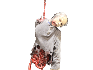 HOSP111- Hooked Torso on Track