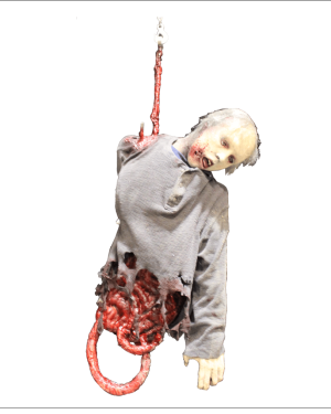 HOSP111- Hooked Torso on Track