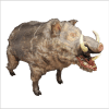 PIG101- Charging Wild Boar on Track