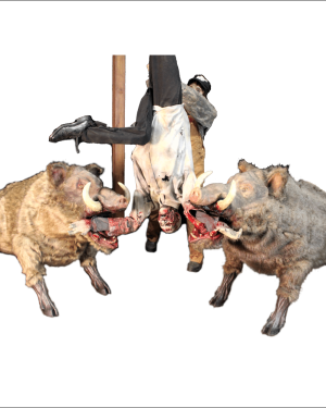 PIG103- Guy Lowering Victim into Boars