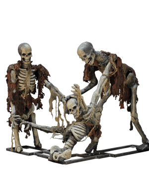 SKEL127- Trio of Exhuming Skeletons