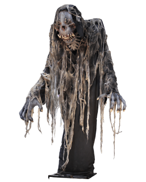 FLY1305- Tormentor on Track