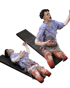 CHR266- Bond and Chopped