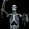 Lunging Super Skeleton Upper Torso