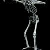 Posable Super Skeleton with Base