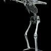 Double Actuator Super Skeleton