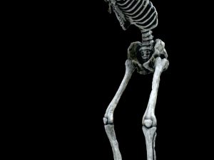 17' Tall Super Lunger- Skeleton