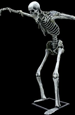 17′ Tall Super Lunger- Skeleton