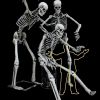 Super Skeleton Photo Op