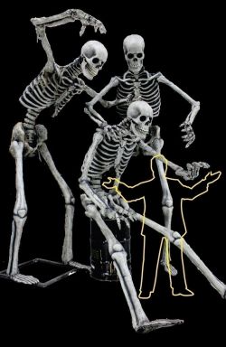 Super Skeleton Photo Op