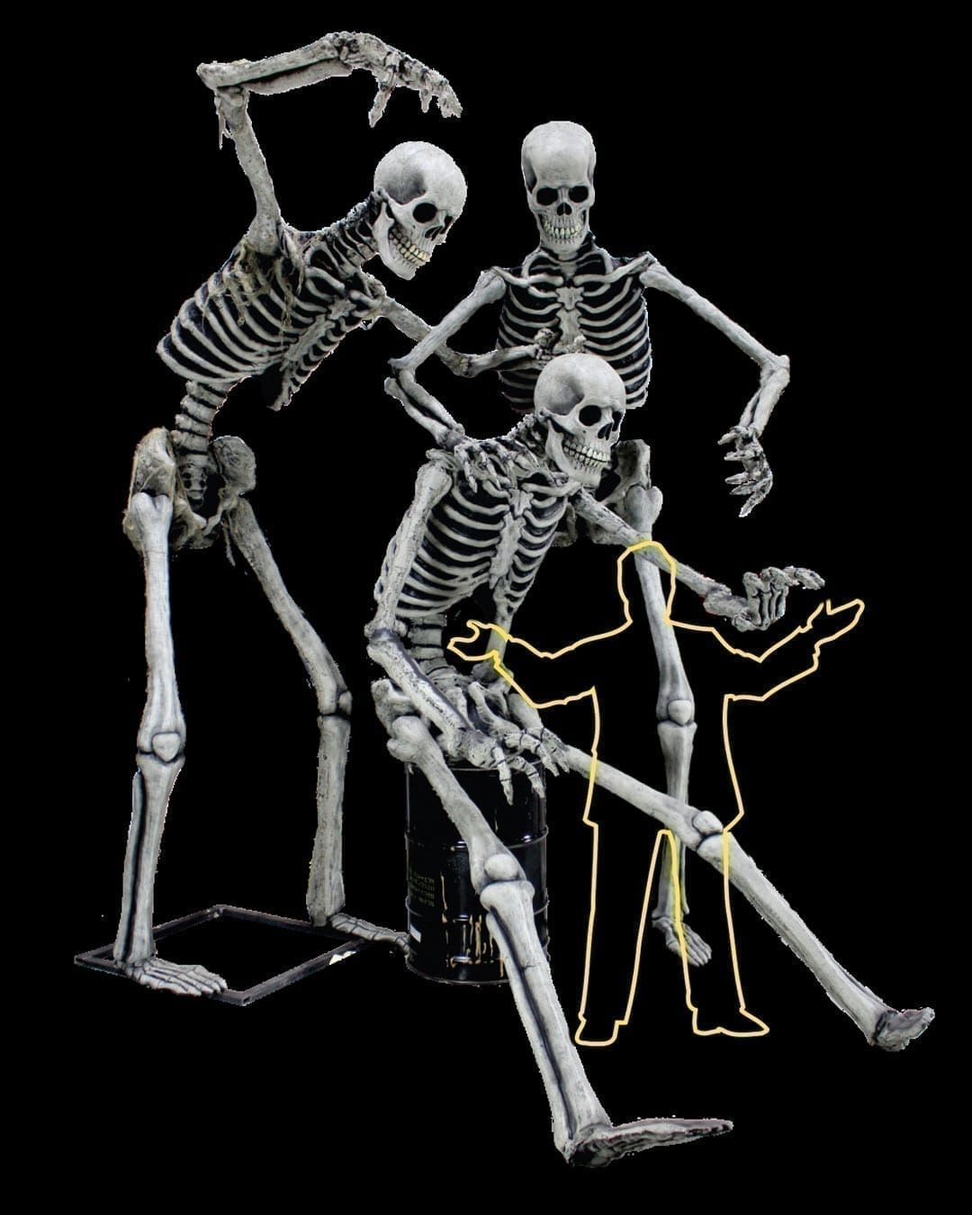 Super Skeleton Photo Op