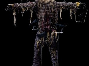 Lifesize Crows for Angry Crows