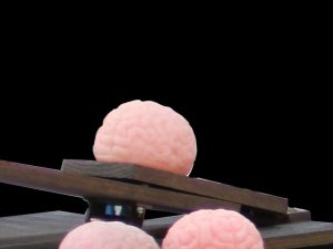 Bio Hazard Pale with (5) silicone brains