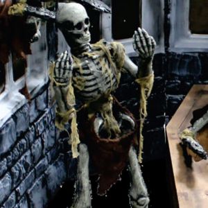 Free Standing Skeleton