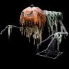 Giant Pumpkin Creeper