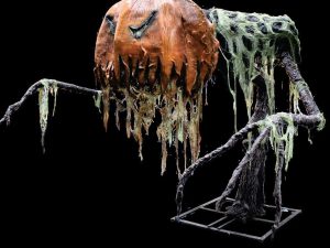 Giant Pumpkin Creeper