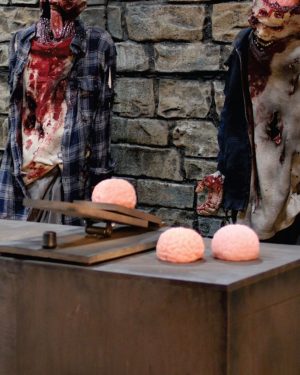 "Frog Launcher" type catapult Mechanism