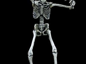 13' Tall Poseable Super Static- Skeleton