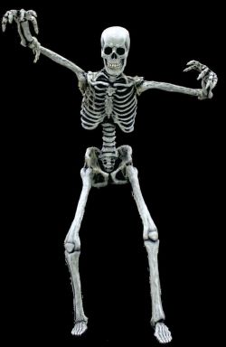 13′ Tall Super Talker- Skeleton