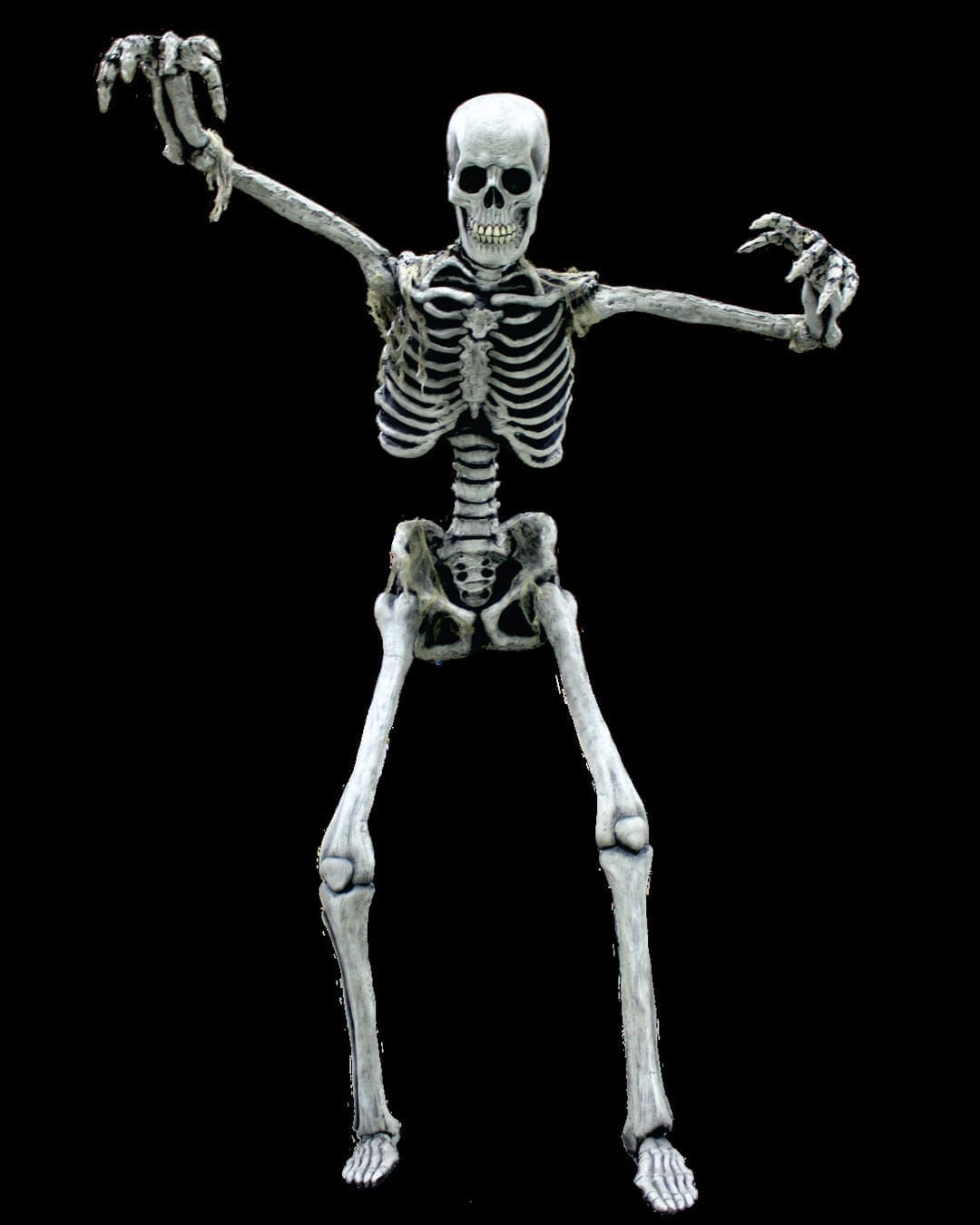 13′ Tall Poseable Super Static- Skeleton
