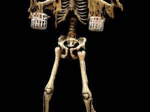 SkeleBall 13' Tall Animated Talking Character