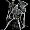 Super Skeleton Photo Op