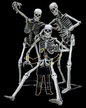Super Skeleton Photo Op