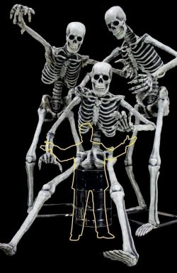 Super Skeleton Photo Op