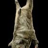 Hanging Thrashing Slaughtered Boar