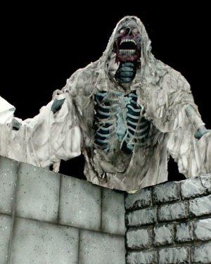 Super Ceiling Reacher- GhoulGhost