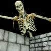 Super Ceiling Reacher- Skeleton