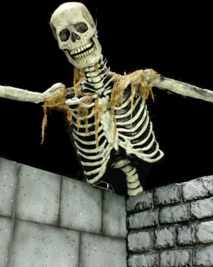 Super Ceiling Reacher- Skeleton