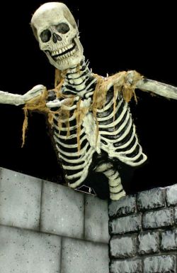 Super Ceiling Reacher- Skeleton