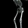 13′ Tall Poseable Super Static- Skeleton
