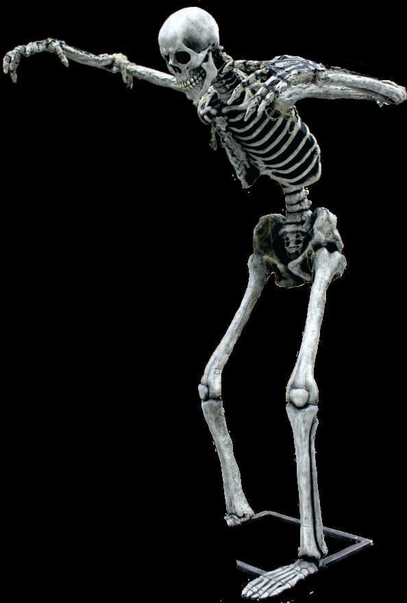 13′ Tall Poseable Super Static- Skeleton