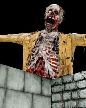 Super Ceiling Reacher- Zombie