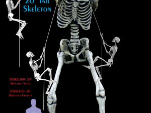 20’ Tall Skeleton Spectacle - Static or Greeter