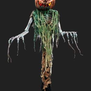 PMP108- Pumpkin Sentinel (Static)