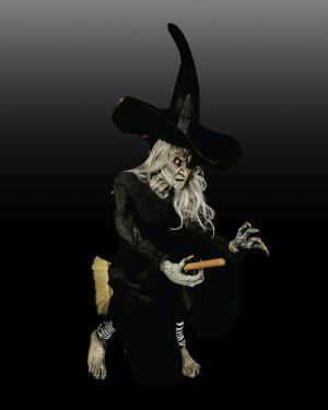 Super Flyer - Wicked Witch of the West