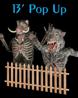 13' Pop Up
